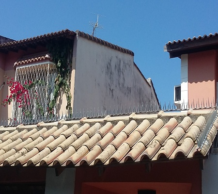 Gallery Image 9